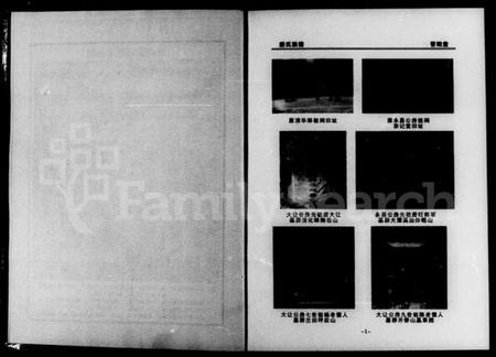 湖南唐氏族谱-津临安澧唐氏族谱 [4卷].pdf电子版预览图5