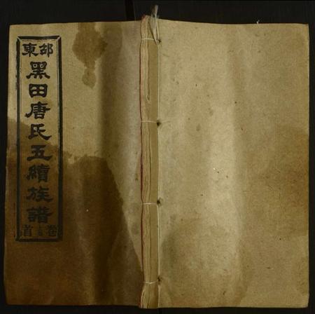 湖南唐氏族谱-邵东黑田唐氏五续族谱[隆房49卷,首3卷].pdf电子版缩略图