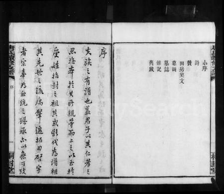 湖南唐氏族谱-长沙唐氏续修支谱.pdf电子版预览图4