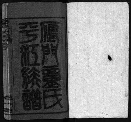 湖南童氏族谱-童氏族谱 [按房分卷].pdf电子版预览图2