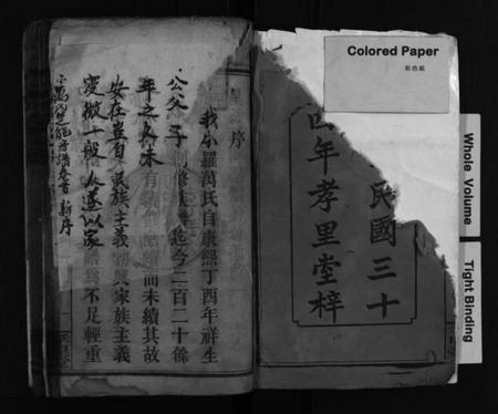 湖南万氏族谱-小罗万氏楚能房谱 [4卷,首1卷].pdf电子版预览图2