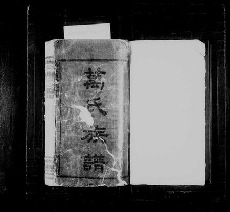 湖南万氏族谱-万氏族谱.pdf电子版预览图2