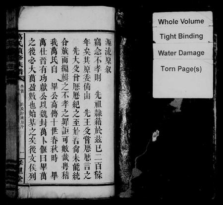 湖南万氏族谱-万氏族谱.pdf电子版预览图4