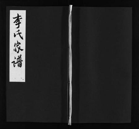 江西李氏族谱-宜邑明湖李氏族谱 [不分卷].pdf电子版缩略图