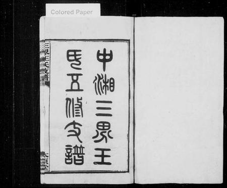 湖南王氏族谱-中湘三界王氏五修支谱 [10卷].pdf电子版预览图1