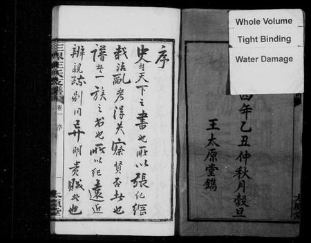 湖南王氏族谱-中湘三界王氏五修支谱 [10卷].pdf电子版预览图3