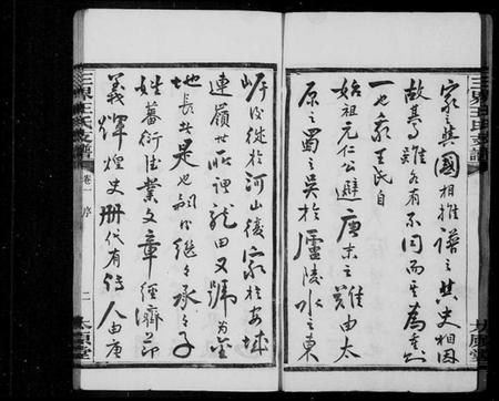 湖南王氏族谱-中湘三界王氏五修支谱 [10卷].pdf电子版预览图4