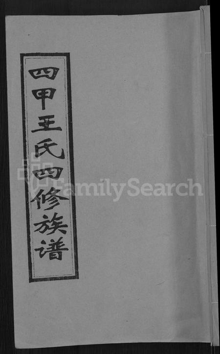 湖南王氏族谱-四甲王氏四修族谱 [15卷,首尾各1卷].pdf电子版缩略图