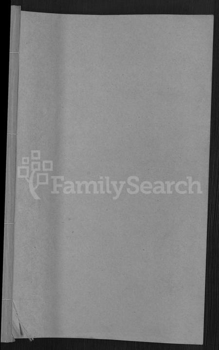 湖南王氏族谱-四甲王氏四修族谱 [15卷,首尾各1卷].pdf电子版预览图1