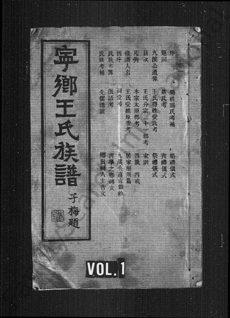 湖南王氏族谱-宁乡王氏族谱 [12卷].pdf电子版预览图1