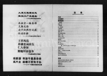 湖南王氏族谱-山涛王氏族谱.pdf电子版预览图4