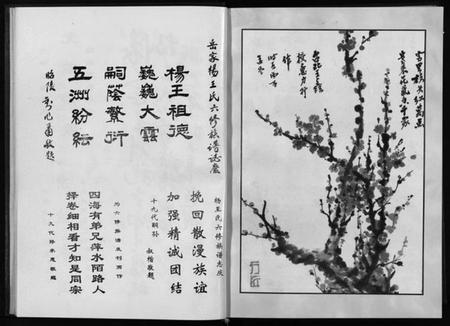 湖南王氏族谱-杨王氏六修族谱 [不分卷].pdf电子版预览图4