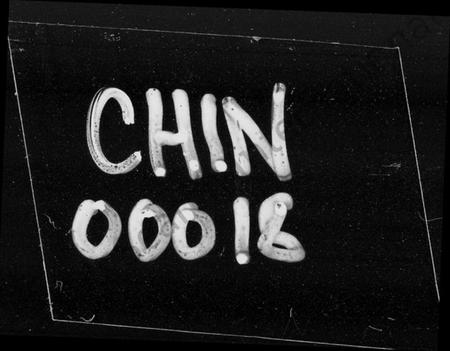 湖南王氏族谱-楚南沩宁东湖王氏五修族谱 [18部].pdf电子版预览图4