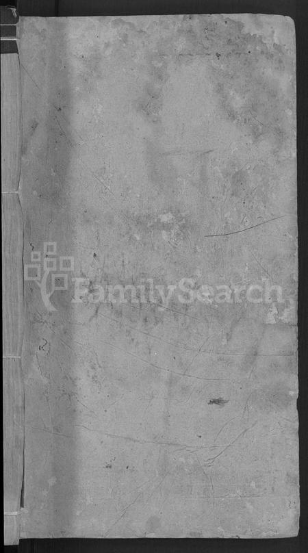 湖南王氏族谱-河家埠王氏族谱 [16卷].pdf电子版预览图1