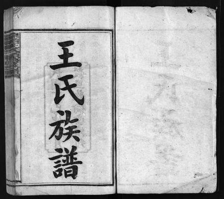 湖南王氏族谱-泉塘王氏族谱 [15卷,首1卷].pdf电子版预览图2