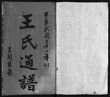 湖南王氏族谱-湘南王氏通谱 [19卷,首1卷].pdf电子版预览图2