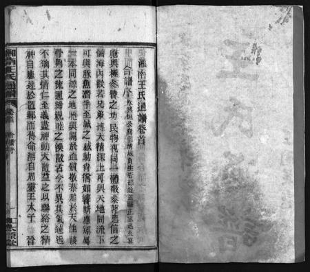 湖南王氏族谱-湘南王氏通谱 [19卷,首1卷].pdf电子版预览图3