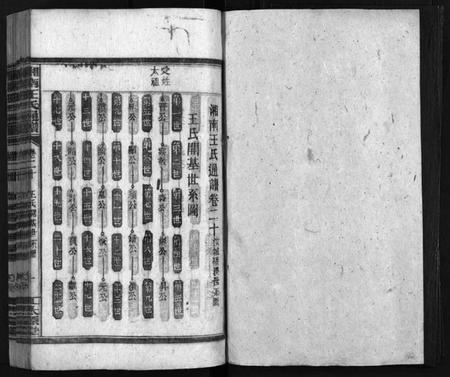 湖南王氏族谱-湘南王氏通谱 [40卷].pdf电子版预览图2