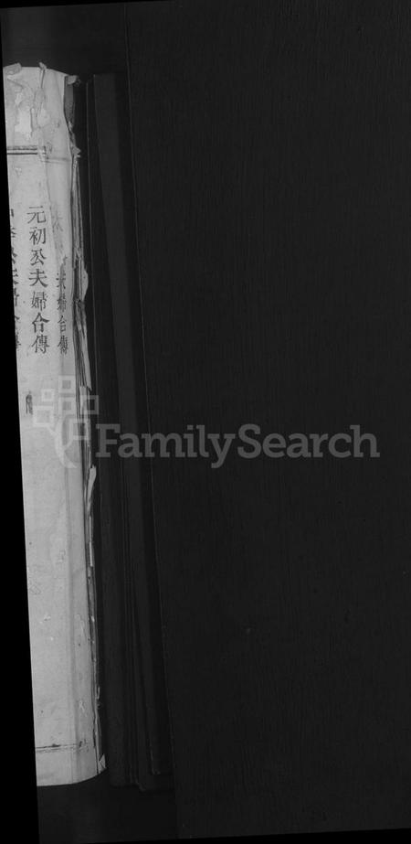 江西李氏族谱-李氏宗谱 [不分卷].pdf电子版预览图2