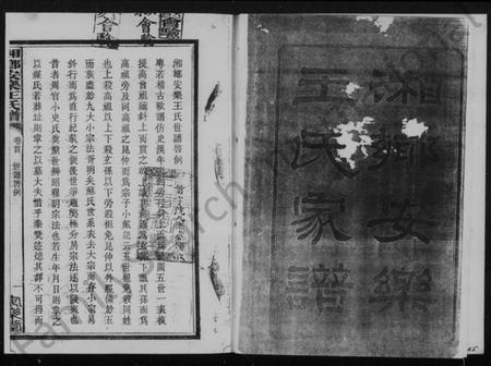 湖南王氏族谱-湘乡安乐王氏八修谱.pdf电子版预览图5