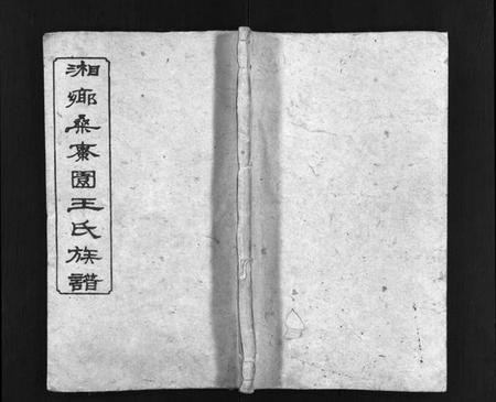 湖南王氏族谱-湘乡桑枣园王氏族谱 [20卷].pdf电子版预览图1