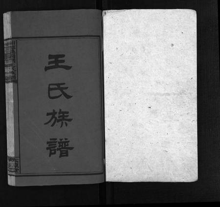 湖南王氏族谱-湘乡桑枣园王氏族谱 [20卷].pdf电子版预览图2