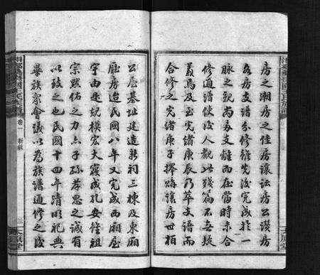 湖南王氏族谱-湘乡桑枣园王氏族谱 [20卷].pdf电子版预览图5