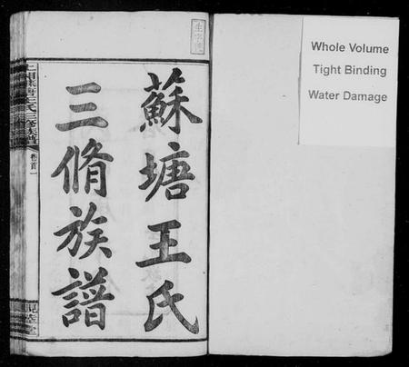 湖南王氏族谱-湘乡苏塘王氏三修族谱 [30卷,首5卷].pdf电子版预览图2
