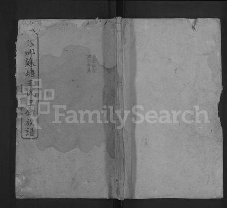 湖南王氏族谱-湘乡苏塘王氏三修族谱 [30卷,首5卷].pdf电子版缩略图