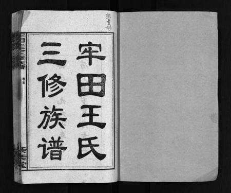 湖南王氏族谱-牢田王氏三修族谱 [39卷,首末各1卷].pdf电子版预览图2