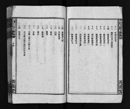 湖南王氏族谱-牢田王氏三修族谱 [39卷,首末各1卷].pdf电子版预览图4