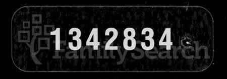 湖南王氏族谱-王氏七修族谱 [22卷].pdf电子版缩略图