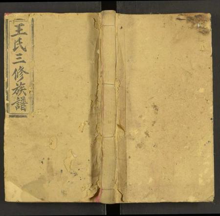 湖南王氏族谱-王氏三修族谱 [27卷,首3卷].pdf电子版缩略图