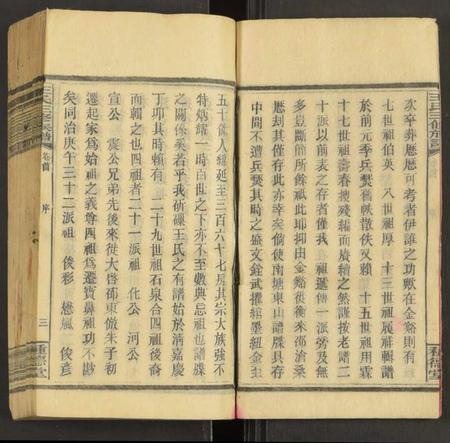 湖南王氏族谱-王氏三修族谱 [27卷,首3卷].pdf电子版预览图4