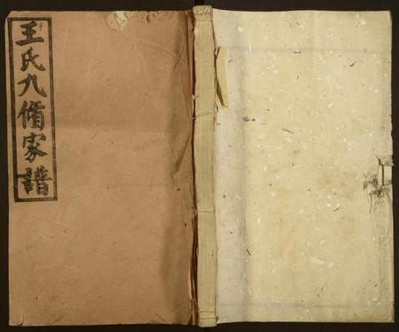 湖南王氏族谱-王氏九修家谱[19卷,首中末各1卷].pdf电子版缩略图