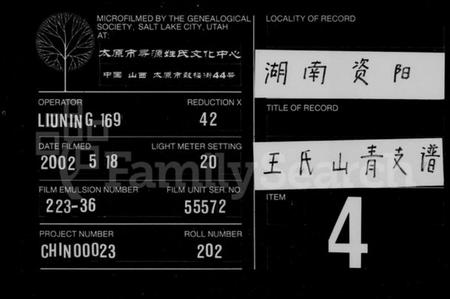 湖南王氏族谱-王氏九修支谱 [15卷,首末各2卷].pdf电子版缩略图