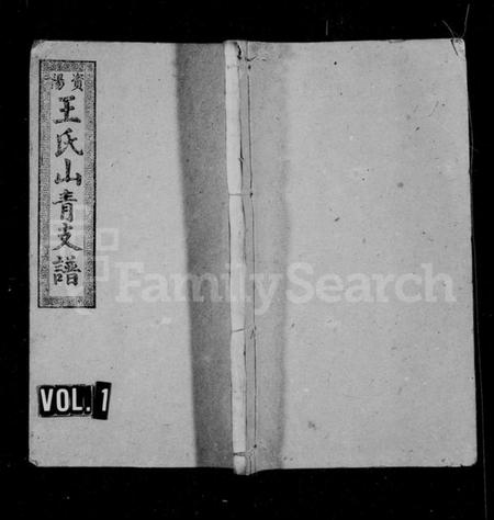 湖南王氏族谱-王氏九修支谱 [15卷,首末各2卷].pdf电子版预览图1