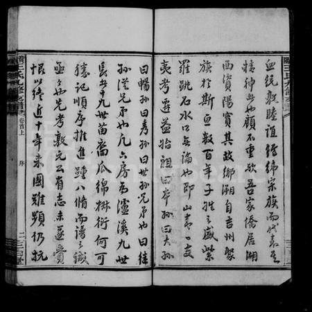 湖南王氏族谱-王氏九修支谱 [15卷,首末各2卷].pdf电子版预览图4