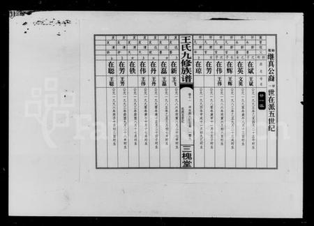 湖南王氏族谱-王氏九修族谱 [45卷,首2卷].pdf电子版预览图5