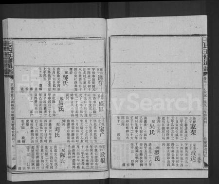 湖南王氏族谱-王氏五修通谱 [不分卷,首4卷].pdf电子版预览图4