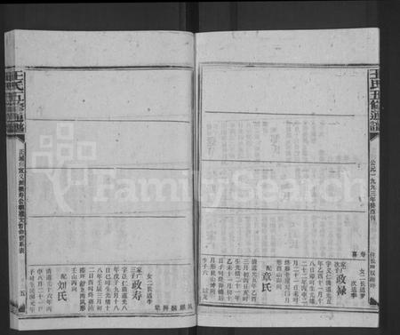 湖南王氏族谱-王氏五修通谱 [不分卷,首4卷].pdf电子版预览图5