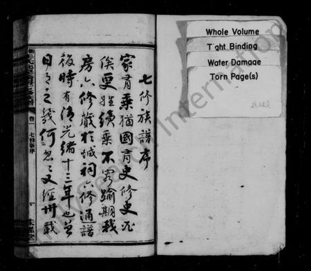 湖南王氏族谱-王氏北望桥房七修谱 [6卷].pdf电子版预览图2