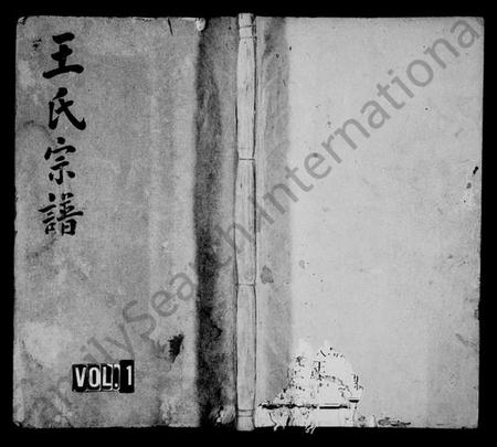 湖南王氏族谱-王氏四修宗谱 [21卷,含卷首].pdf电子版预览图1