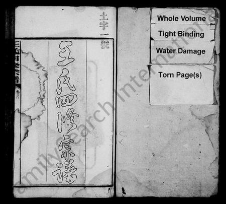 湖南王氏族谱-王氏四修宗谱 [21卷,含卷首].pdf电子版预览图2