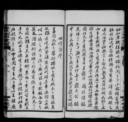 湖南王氏族谱-王氏四修支谱 [12卷].pdf电子版预览图5