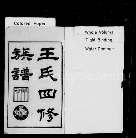 湖南王氏族谱-王氏四修族谱 [12卷,首末各1卷].pdf电子版预览图2