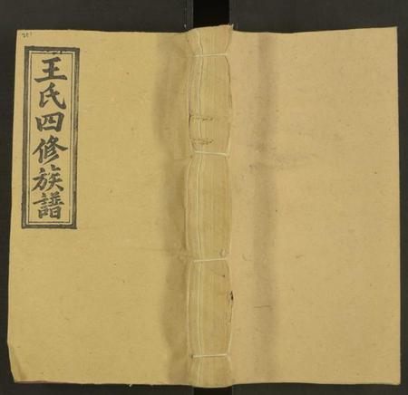 湖南王氏族谱-王氏四修族谱 [53卷,首3卷].pdf电子版缩略图