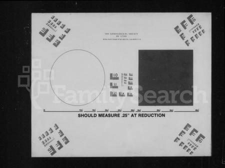 湖南王氏族谱-王氏家谱 [不分卷].pdf电子版预览图2