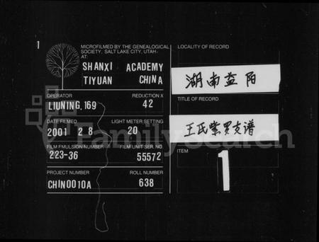 湖南王氏族谱-王氏家谱 [不分卷].pdf电子版预览图3