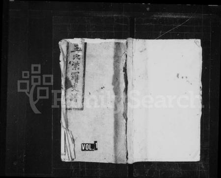 湖南王氏族谱-王氏家谱 [不分卷].pdf电子版预览图4